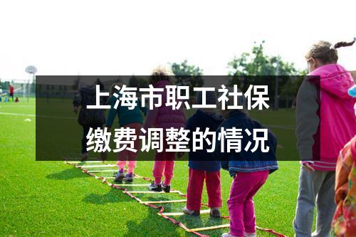 上海市职工社保缴费调整的情况
